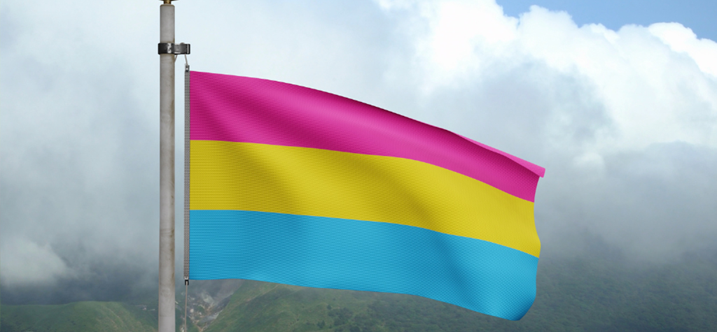 Pansexualität Fahne