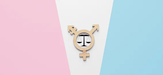 Das Transsexuellengesetz