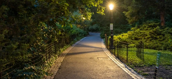 Verlockende Nacht im Park