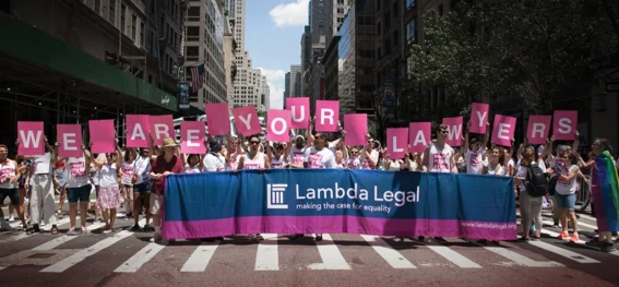 Lambda Legal: LGBTQIA+ Rechtsverteidigung - Organisationen & Initiativen, Projektvorstellungen