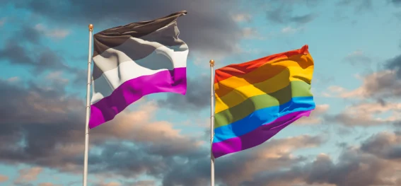 Wie können Menschen LGBTQIA+ Fahnen nutzen, um Solidarität zu zeigen? - General