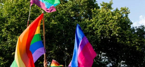 Was bedeuten die Farben auf den LGBTQIA+ Fahnen? - General